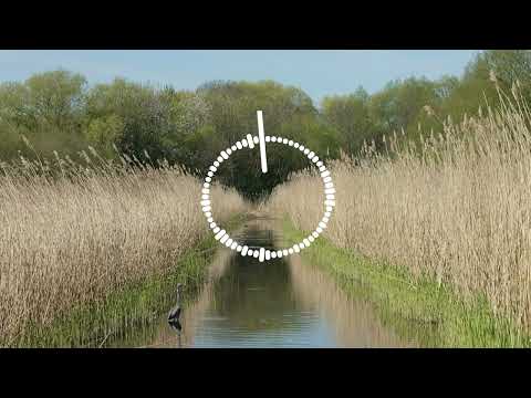 Видео: Абидат Шахбанова - Мой даргинец 2025