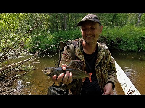 Видео: Рыбалка на ХАРИУСА /Забрались в самую глушь и наловили.../ Таежная рыбалка