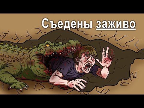 Видео: Самые тревожные случаи гибели дайверов в пещерах, вызванные животными