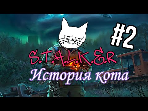 Видео: Финал Истории Кота