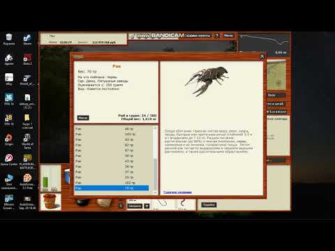 Видео: рр3 рак. заработок в рр3.