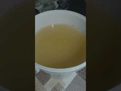 Видео: САХАРНАЯ БРАГА