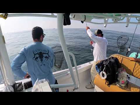 Видео: Турнир «Brown Bag Fluke» от Jim's Bait and Tackle — самая большая рыба, забирающая всё