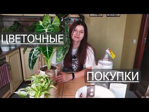 Видео: Полезные цветочные покупки