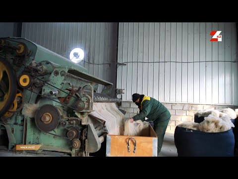 Видео: Производство одеял из овечьей и верблюжьей шерсти | Made in KZ