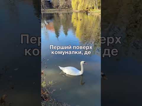 Видео: Пішов від дружини і дуже пошкодував