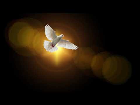 Видео: Зеркало Славы - ДУХ ЖИВОТВОРЯЩИЙ 🕊🕊🕊