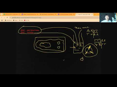 Видео: Инфа о ДНК и РНК. Левел 2. особо важно для олимпиад ну и просто интересно.