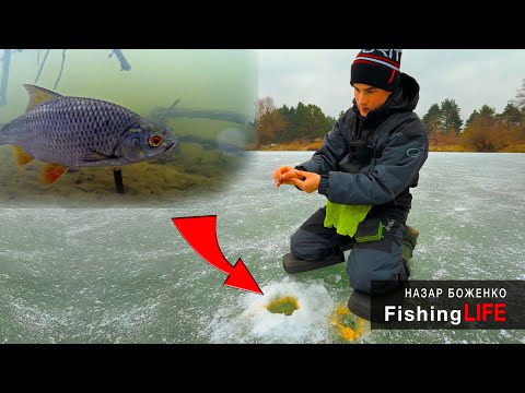 Видео: Зимова Риболовля З Підводною Камерою🔥 Неповторні Враження Гарантовано