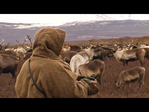 Видео: Тут сул’там: Памяти хантыйской поэтессы, учителя родного языка Екатерины Костюченко