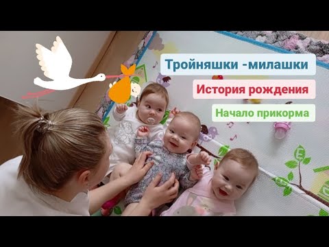 Видео: Кушаем кашу под мамины рассказы😉🥰История рождения тройняшек 👶👶👶