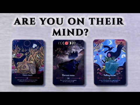 Видео: 🔮Они думают о вас? 🐾🐈‍⬛ Мысли, чувства, действия | Гадание на Таро для любви | Выберите карту