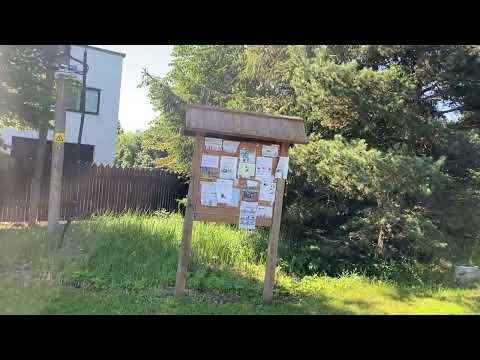 Видео: ДАЧНЫЙ ПОСЕЛОК в ЭСТОНИИ ✅Какие дома строят сейчас ? Гуляю.