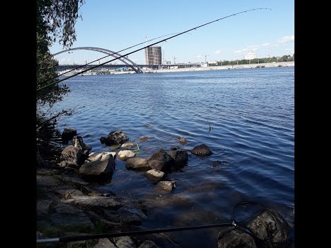 Видео: Фидерная рыбалка на Днепре в Киеве .Ловля разнорыбицы на Фидер. Рыбалка Киев