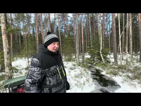 Видео: Мотособаки и межсезонье