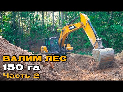 Видео: Преодолеваем овраг. Вырубка леса под аэропорт в г. Владимир