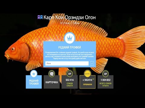 Видео: ПРОВЕРЯЕМ ФАРМ СЕРЕБРА и КОИ на МЕДНОМ и ЗА РАЗМОТАМИ на ВОСТЧНОГО ОСЕТРА РУССКАЯ РЫБАЛКА 4 РР4