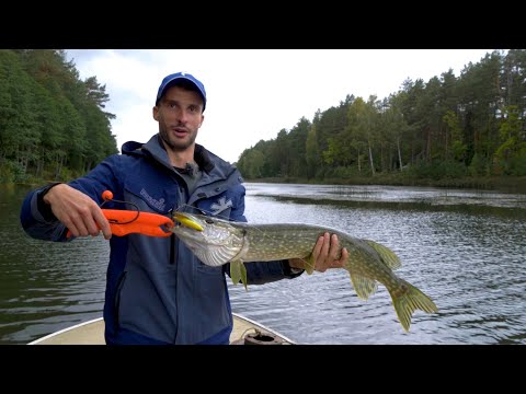 Видео: Твичинг. Основы. Снасти, приманки, проводки, рыба