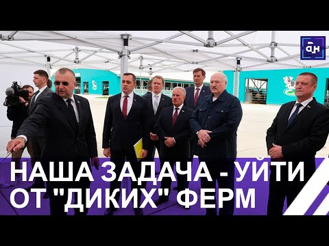 Видео: ⚡️Лукашенко: ЗА ВОЛОКИТУ ОТВЕТИТЕ! Президент посетил роботизированный молочно-товарный комплекс