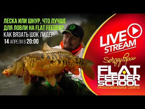 Видео: Как выбрать леску и привязать шок лидер / #3 Лекция / FLAT FEEDER SCHOOL