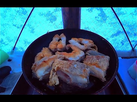 Видео: Супер жор окуня! Эта блесна косит окуней. Обед из щуки.