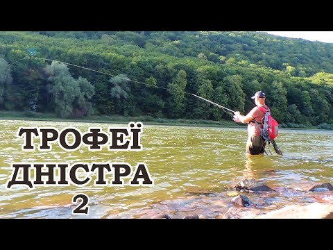 Видео: Вимотує Шнур! Рибалка На Дністрі спінінгом. ТРОФЕЇ ДНІСТРА (ч-2)