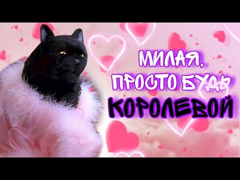 Видео: Тайна СЕЛЕМА: Как кот из "Сабрины маленькой ведьмы" завоевал Интернет?