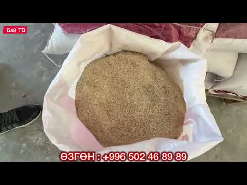 Видео: АТАЛЫК ЖЕМ