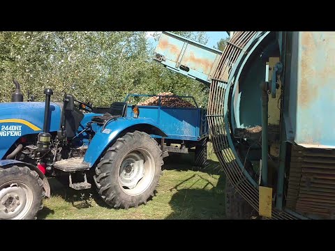 Видео: Копаєм картоплю 2021 біла-роса