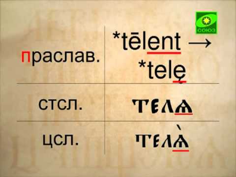 Видео: Закон открытого слога
