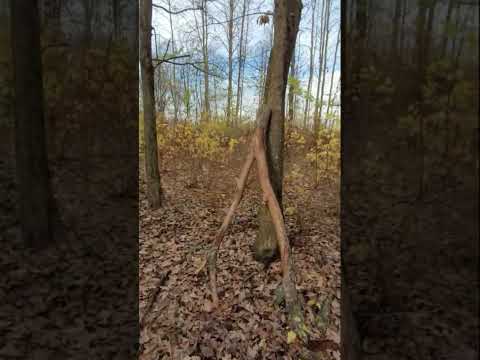 Видео: 5 серия 50 лет спустя 10 11 2023