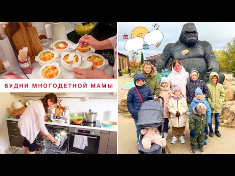 Видео: 2 ДНЯ СО МНОЙ🌟ПАРК ОБЕЗЬЯН🥩ИДЕЯ УЖИНА