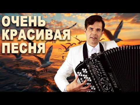 Видео: Чайки не кричите, сердцу больно (акустическая версия под баян) - исполняет Вячеслав Абросимов