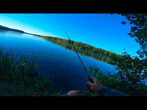 Видео: РЫБАЛКА НА ФИДЕР В ЖАРКИЙ СЕНТЯБРЬ С НОЧЁВКОЙ НА ВОДОХРАНИЛИЩЕ! фидер в сентябре 2024!