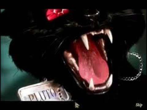 Видео: Темные истории 2: Эдгар Аллан По. Черный Кот ( на расслабоне 2)