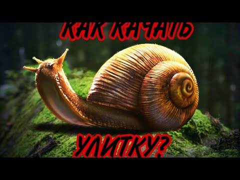 Видео: Ant Legion: КАК РАЗВИВАТЬ УЛИТКУ ? ДЛЯ НОВИЧКОВ И НЕ ТОЛЬКО