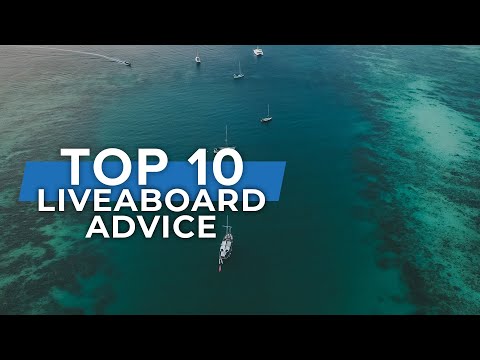 Видео: Советы по дайвинг-сафари | #Top10 #Liveaboard #Scuba | Журнал @Scuba Diver