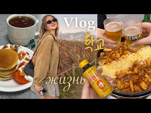 Видео: Влог | Осень в Сеуле 🍂 Мой выходной и студенческий день 🤗
