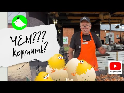 Видео: Чем кормить перепелов. Опять про рецепт корма