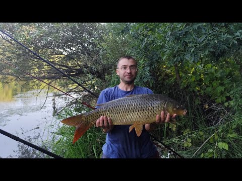 Видео: Очередной выезд на реку и снова КРУПНЫЙ САЗАН!!!!