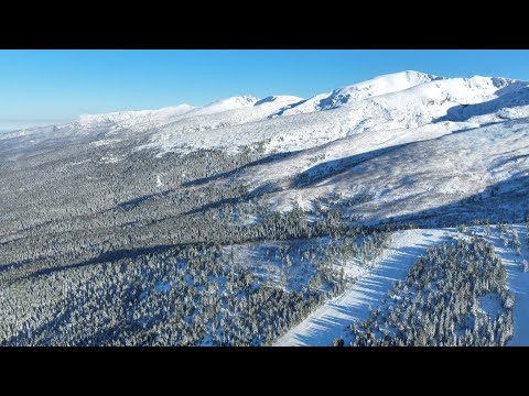 Видео: Мальовица - 10.2.2023