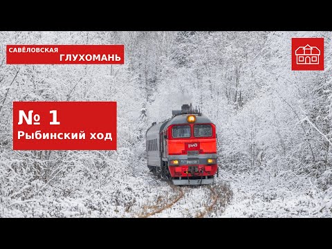 Видео: САВЁЛОВСКАЯ ГЛУХОМАНЬ 1: РЫБИНСКИЙ ХОД