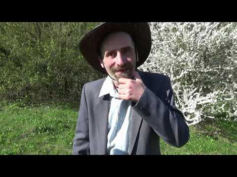 Видео: Денис Бояринов - для статьи "Панк или пропал" 03/05/2015. Часть 2. Виталий Кушнерчук (Вито Рембозо).