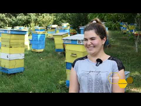 Видео: Пчелините на България: Пчеларите Палушеви -  в мед и пчели до ушите