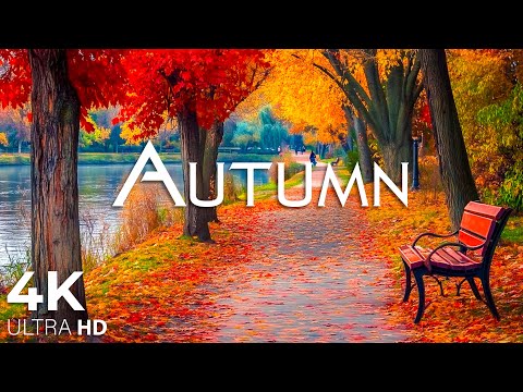 Видео: Очаровательные осенние леса под прекрасную фортепианную музыку🍁Осенняя атмосфера 4K