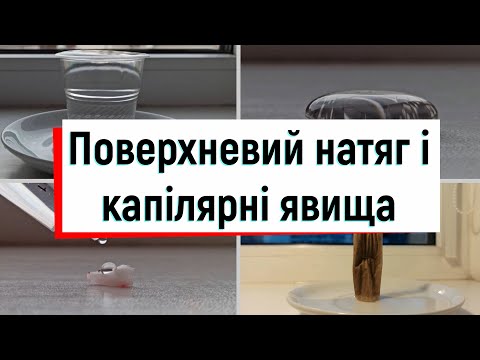 Видео: Поверхневий натяг і капілярні явища