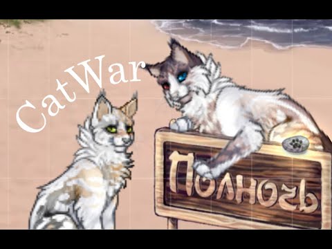Видео: ЛЕТНИЙ КВЕСТ И ОКРАС АЙЛЫ CATWAR