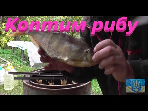 Видео: Риба холодного копчення # Домашня коптильня #РибачуЯкУмію