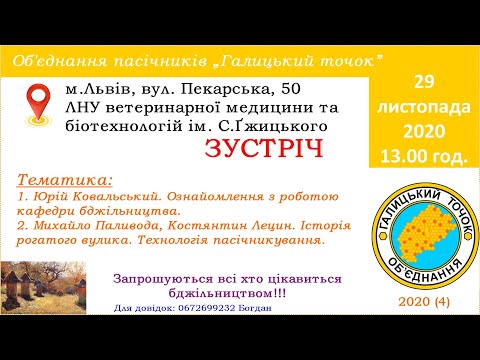 Видео: 2020.11.29 Галицький точок. Костянтин Лецин, Михайло Паливода. Про Рогатий вулик і технологію. (ч.1)