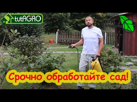 Видео: ОБРАБОТКА САДА ПОСЛЕ СБОРА УРОЖАЯ. Чем лучше обработать деревья и кусты от болезней и вредителей.